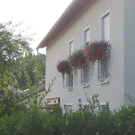 Illschwang Ferienwohnung Im Gruenen מראה חיצוני תמונה