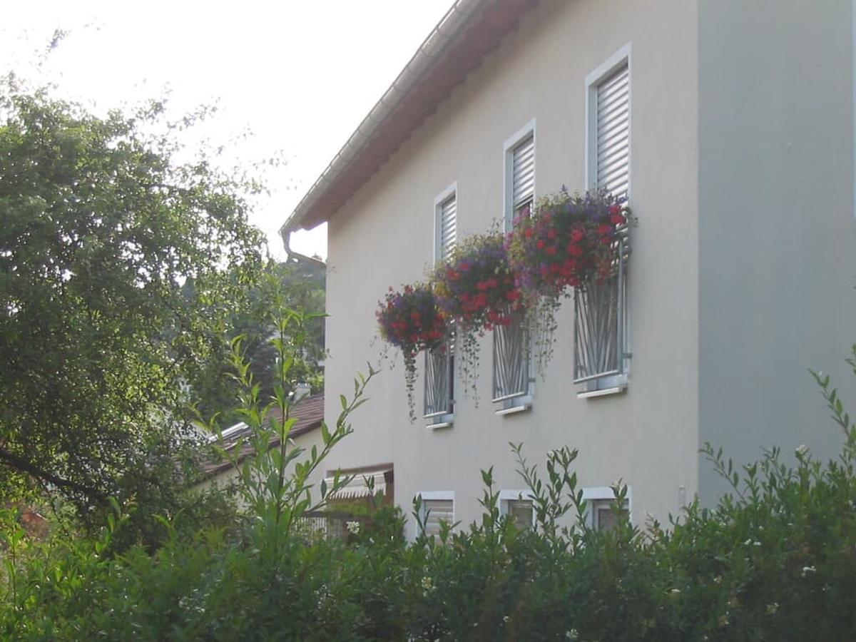 Illschwang Ferienwohnung Im Gruenen מראה חיצוני תמונה